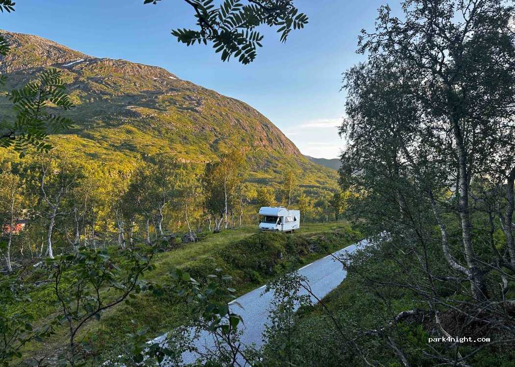 (6978) Viksdalen - 3031 Gaularfjellsvegen — foto 3