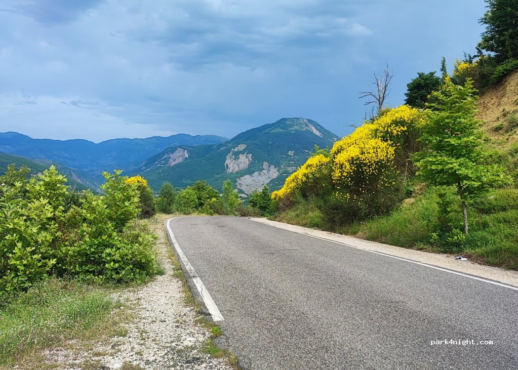 (9707) Shkallë - — foto 3