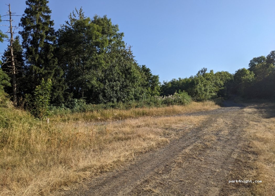 (63210) Saint-Bonnet-près-Orcival - — foto
