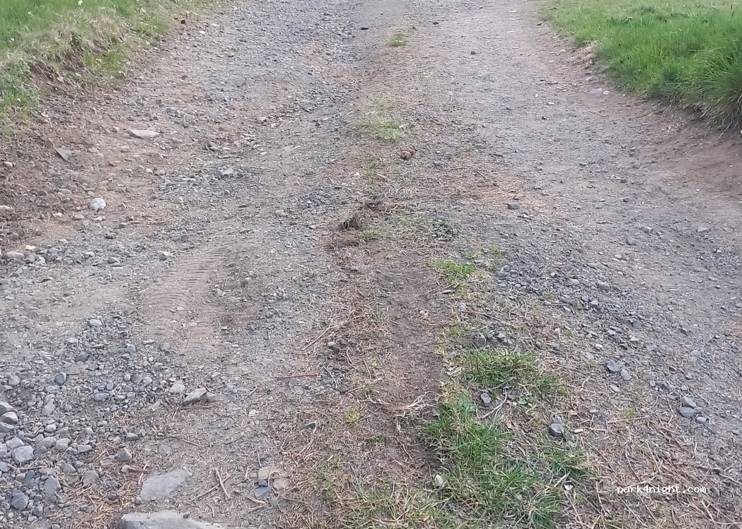 (63210) Saint-Bonnet-près-Orcival - — foto 4