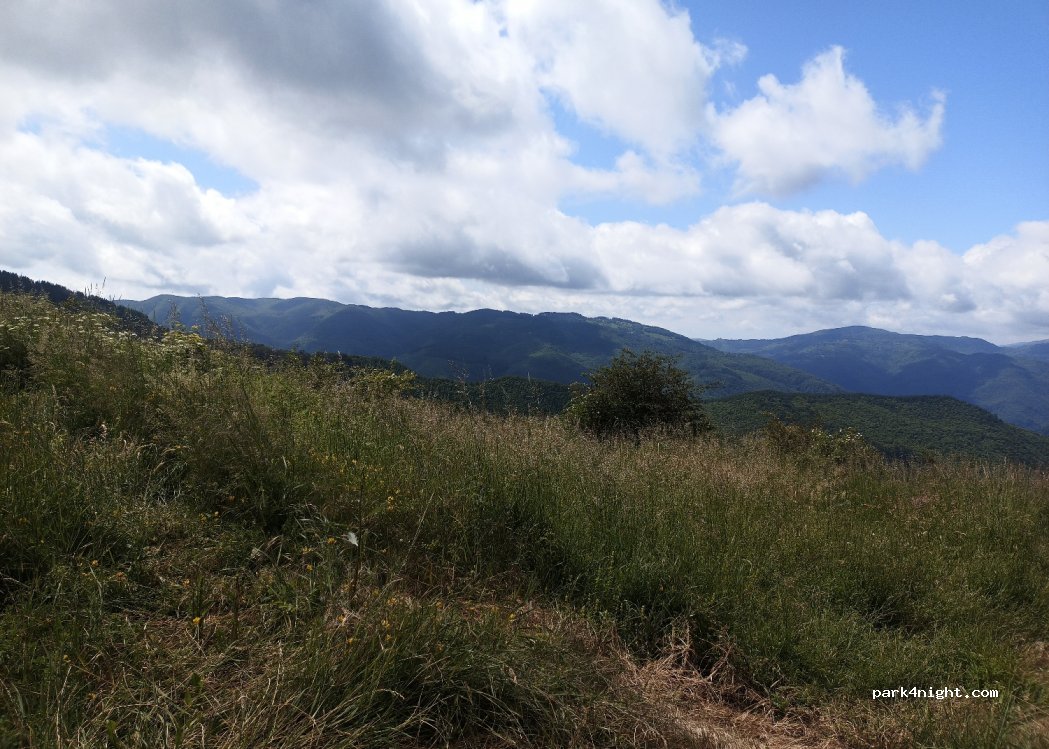 (51028) Spignana - Località Il Butale — foto