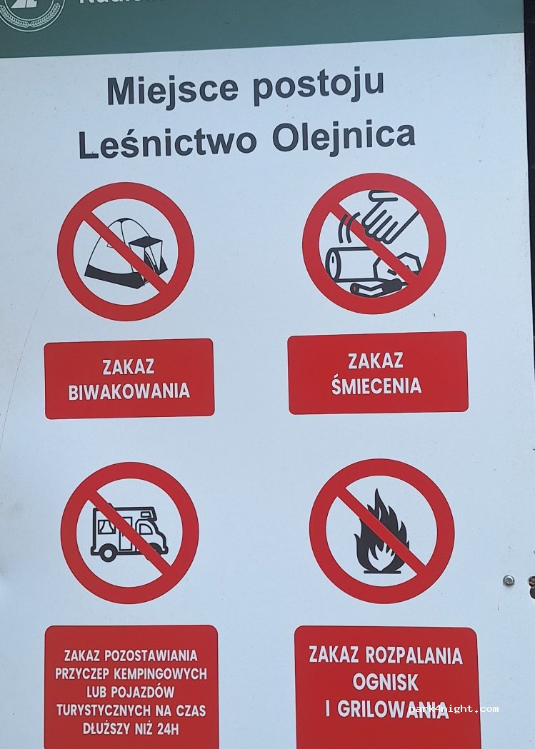 (64-234) Perkowo - 1 Leśna — foto 2