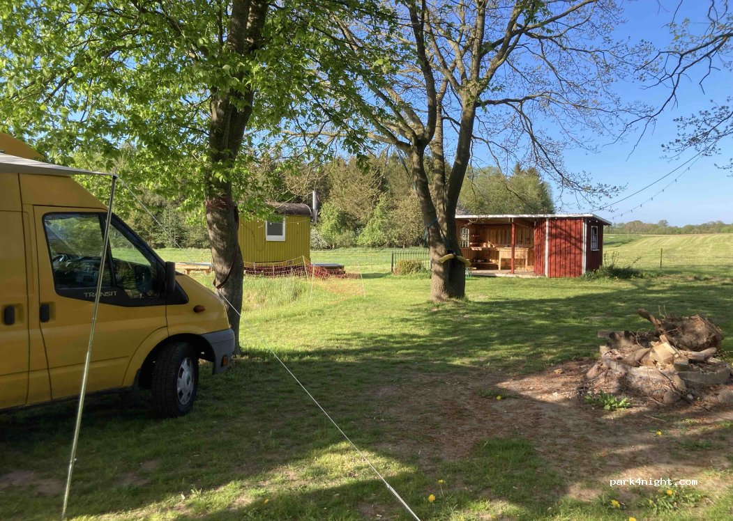 (24363) Holtsee - 1 Hohenlieth-Aurögen — foto 5