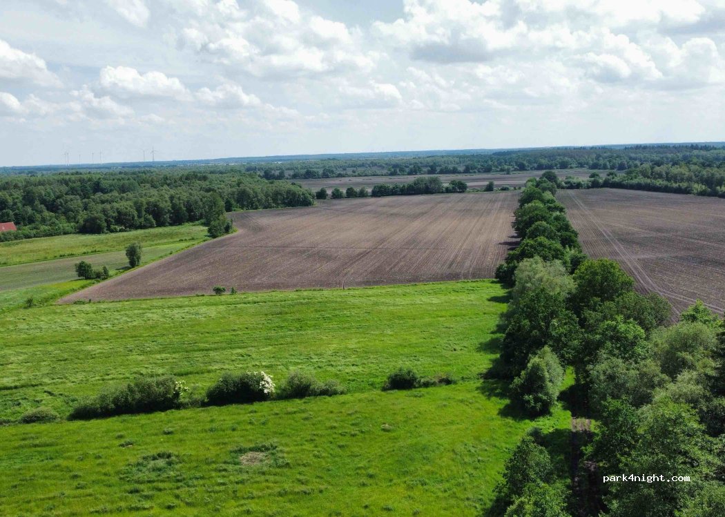 Hühnerweide zur Uferschwalbe — foto