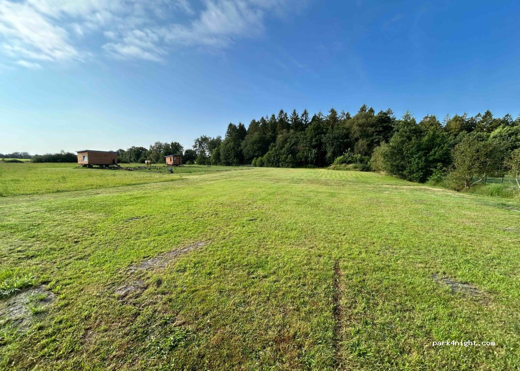 Hühnerweide zur Uferschwalbe — foto 3