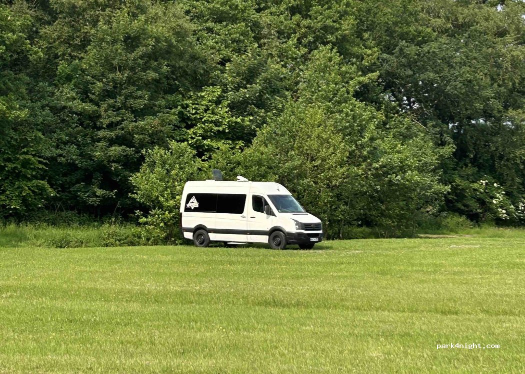 Hühnerweide zur Uferschwalbe — foto 4
