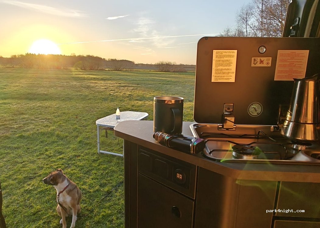 Hühnerweide zur Uferschwalbe — foto 5