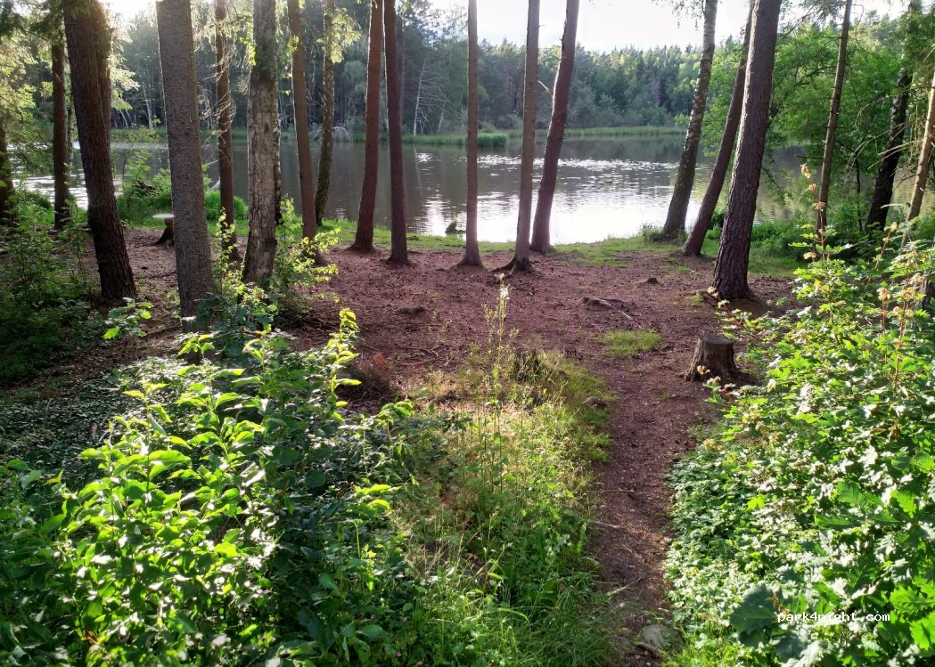 (91725) Ehingen - Unnamed Road — foto 4