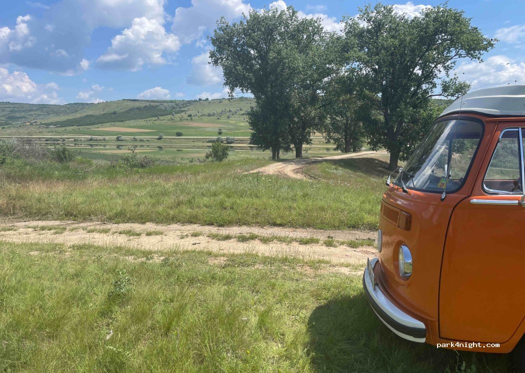 () Meleșeni - Unnamed Road — foto