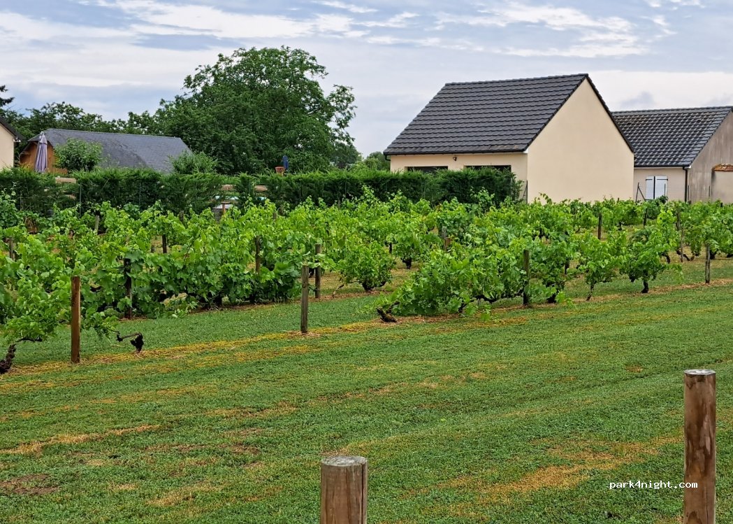 (36250) Niherne - 10 Rue du Chemin de Ronde — foto 2