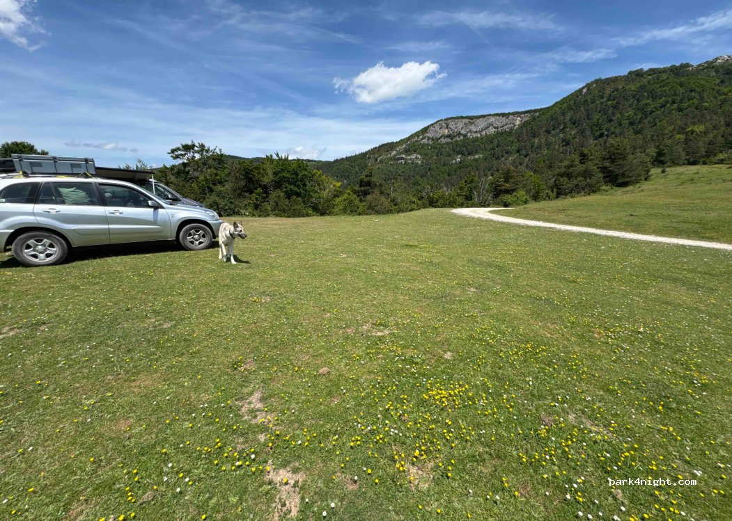 (31448) Larráun - Unnamed Road — foto