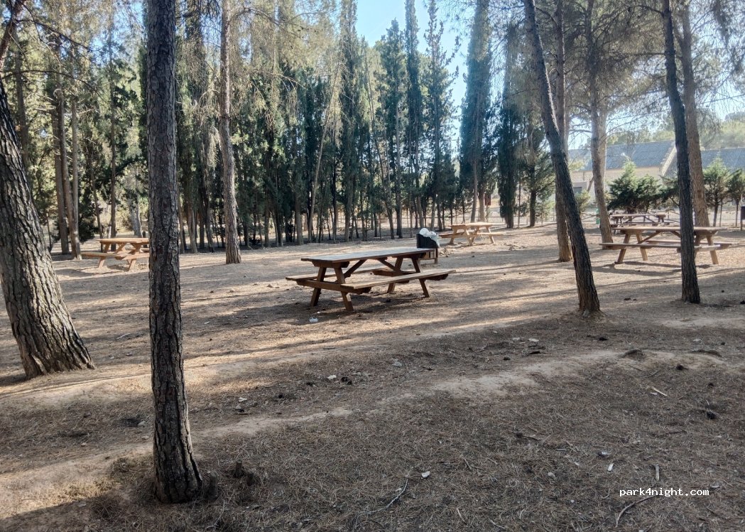 (25170) Torres de Segre - s/n Avinguda Pearson — foto