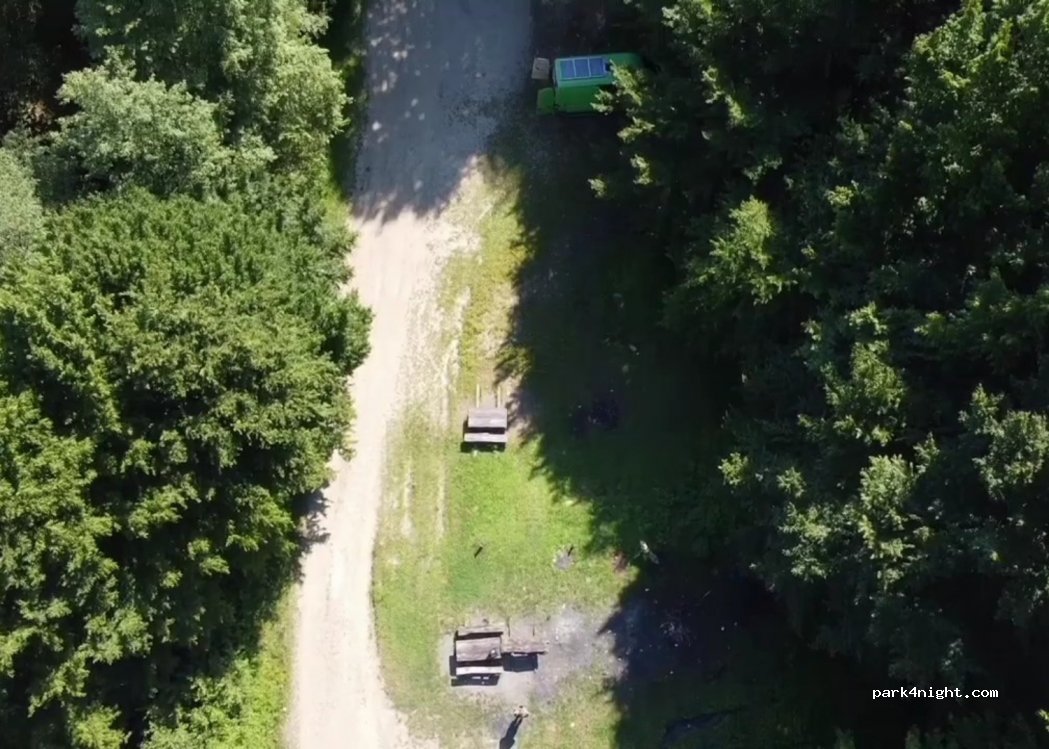 ()  - forestier — foto 2