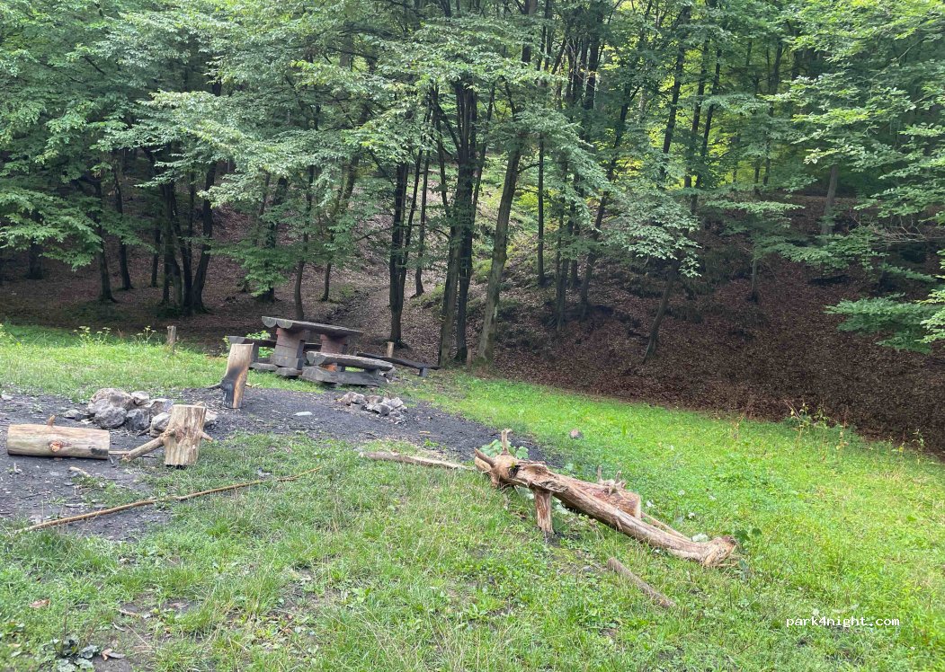 ()  - forestier — foto 3