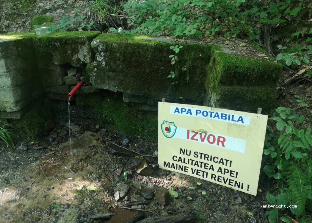 ()  - forestier — foto 4