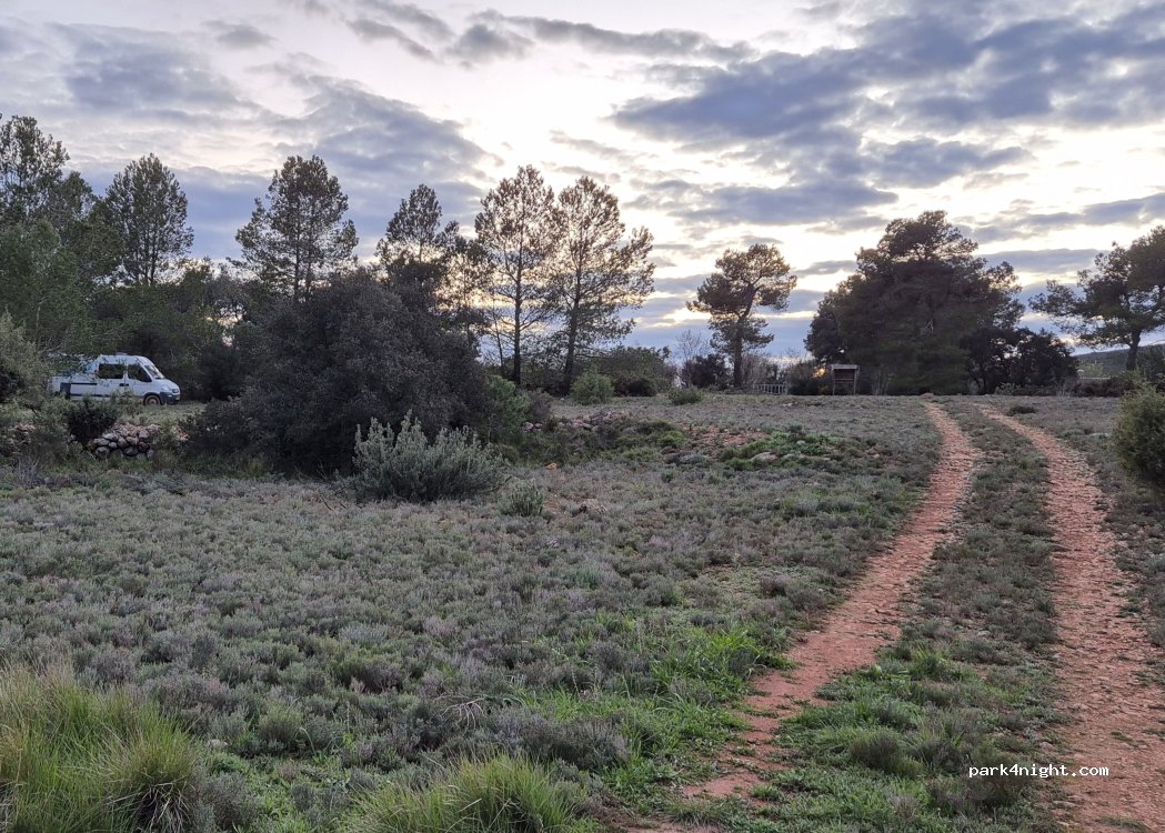 (46198) Cortes de Pallás - 2 Diseminado P006 — foto