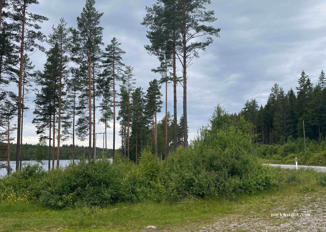 () Skasenden - Finnskogvegen — foto