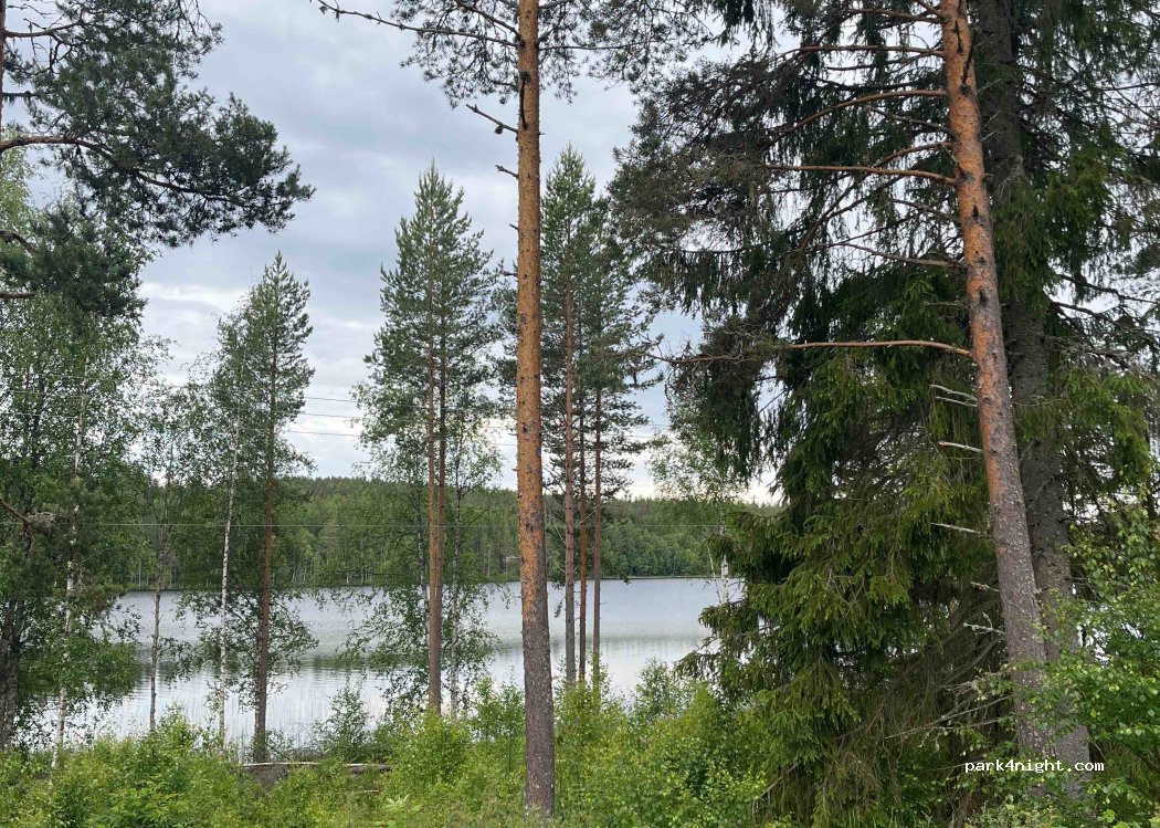 () Skasenden - Finnskogvegen — foto 3