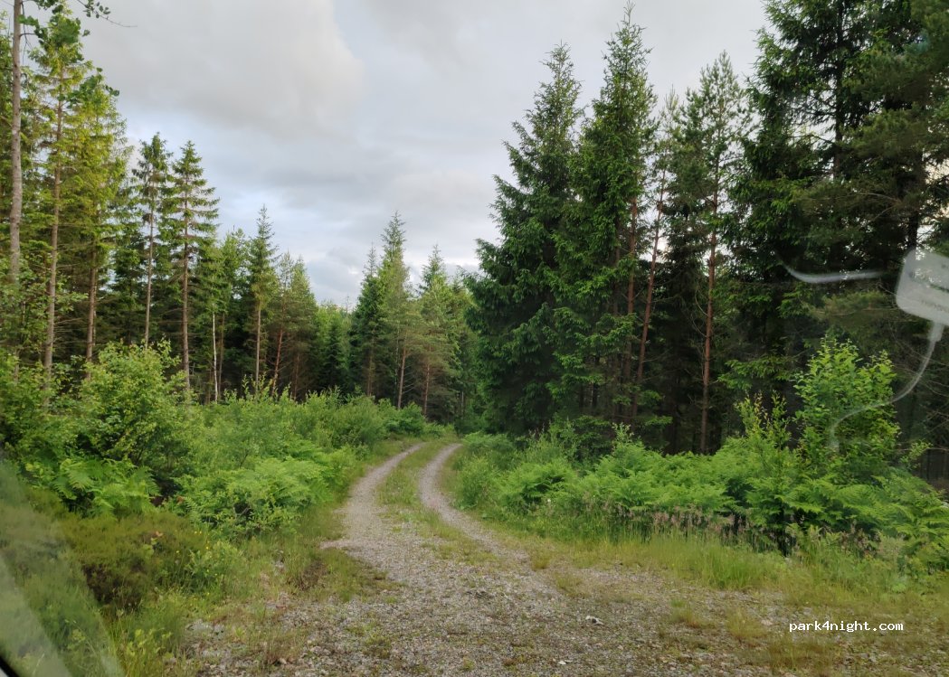 (459 93) Ljungskile - — foto