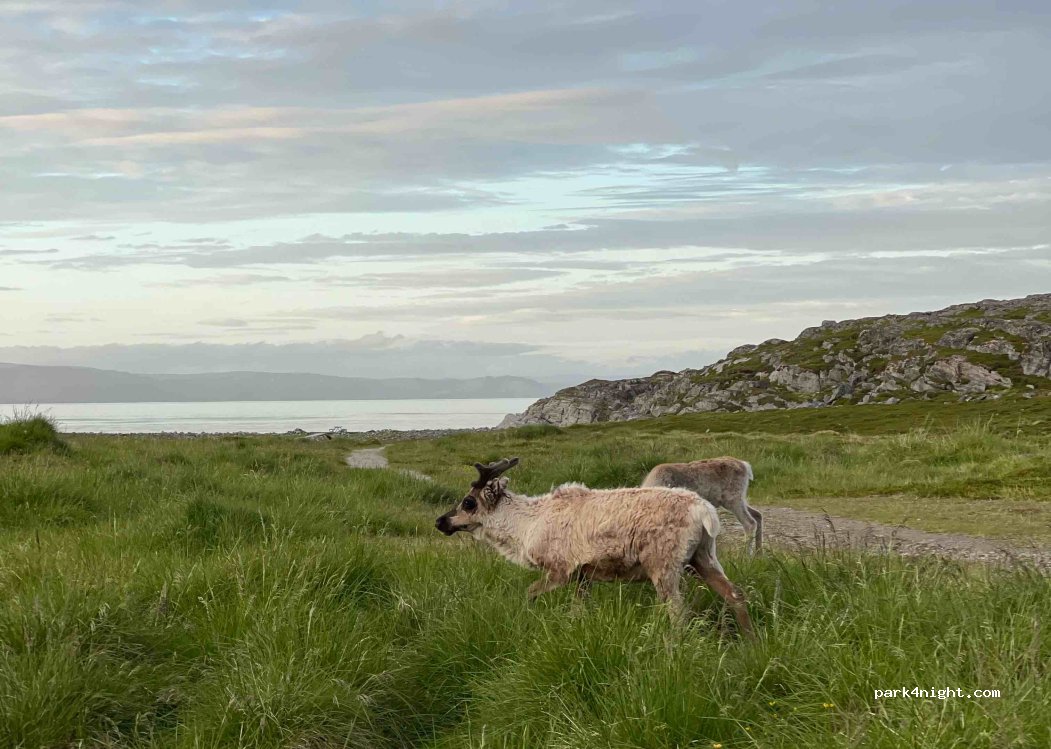 (9612) Hammerfest - 71 Langbuktveien — foto 4