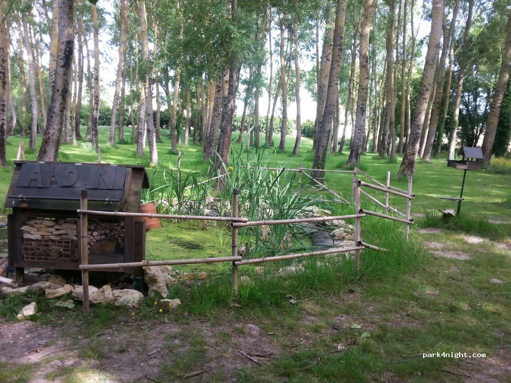 (17470) Aulnay - 26 Rue de Salles — foto