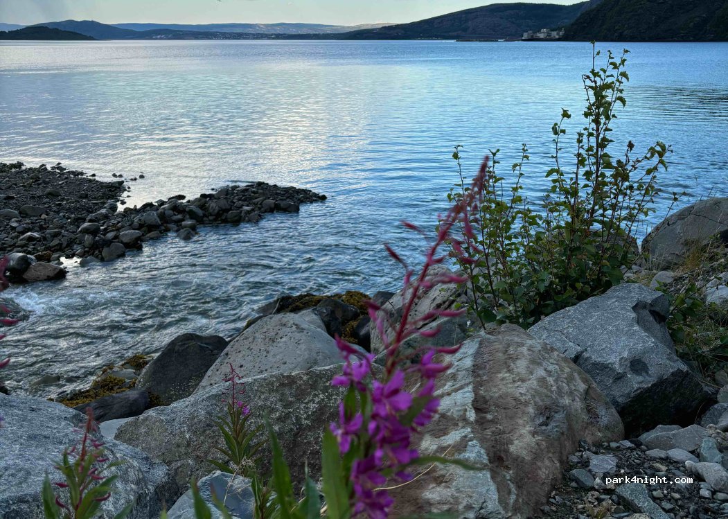 (9541) Alta - 591 Kåfjordveien — foto 2