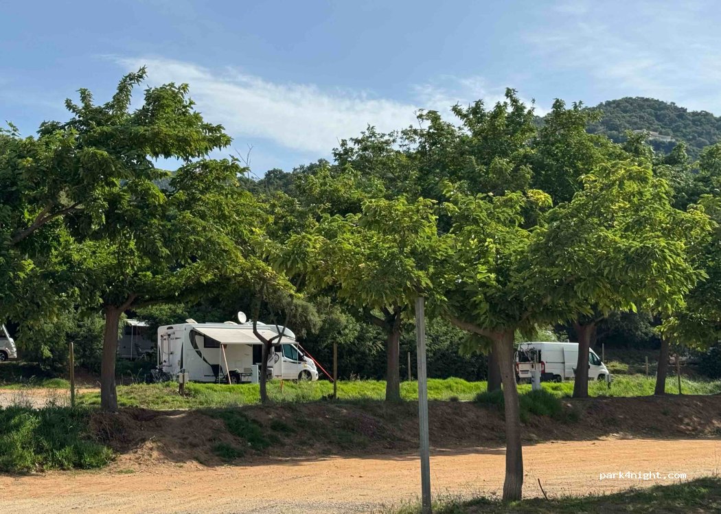 (83980) Le Lavandou - 447 Avenue du Cap Nègre — foto