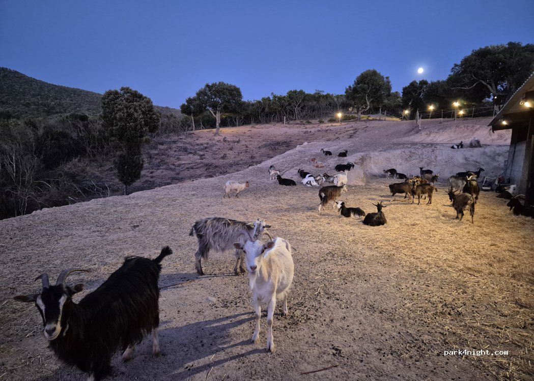 Equi-Libriu — foto 4