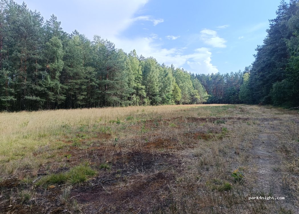 (05-307) Kąty-Borucza - — foto 3