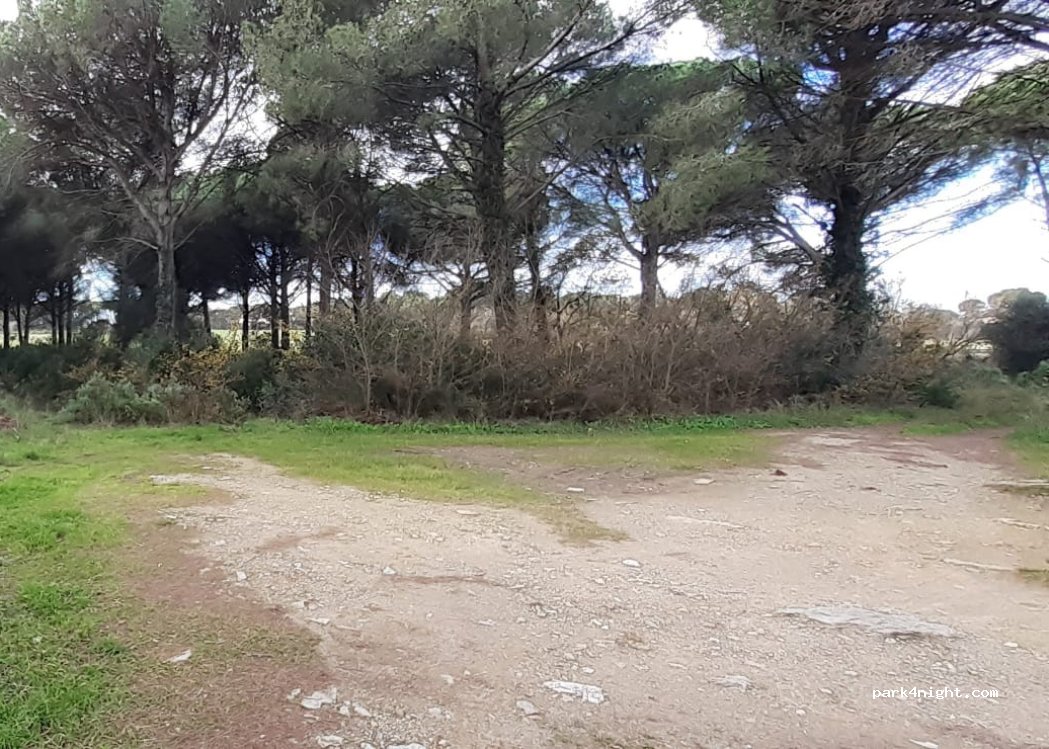(17256) Els Masos de Pals - — foto 2
