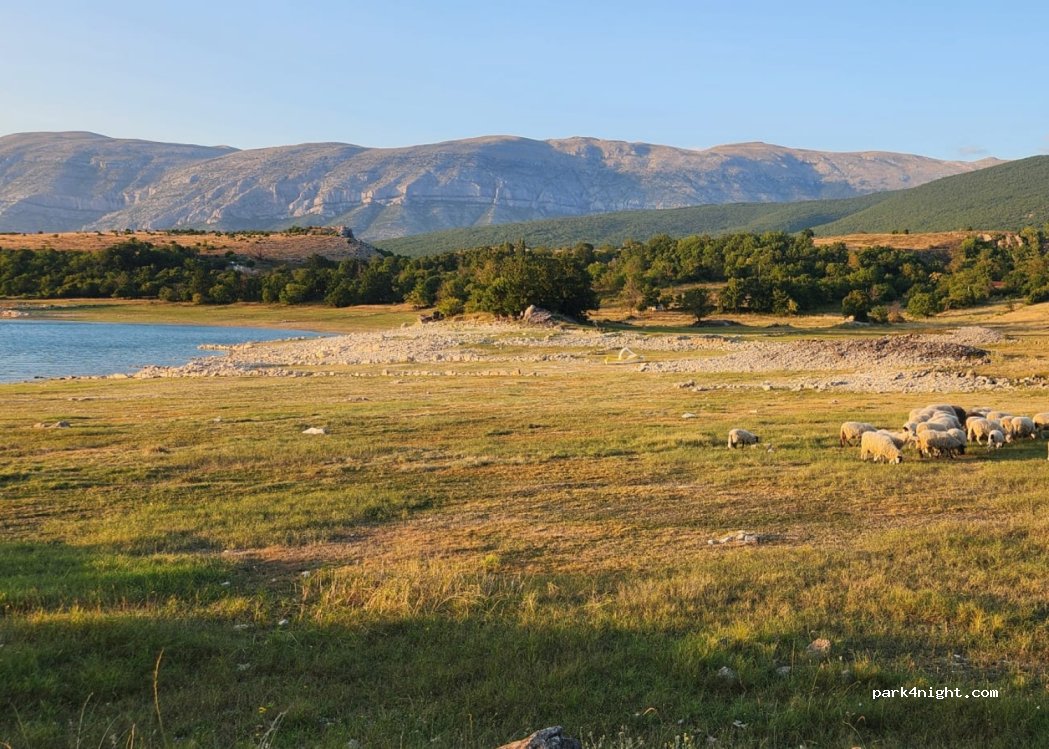 (21236) Koljane - Unnamed Road — foto 2