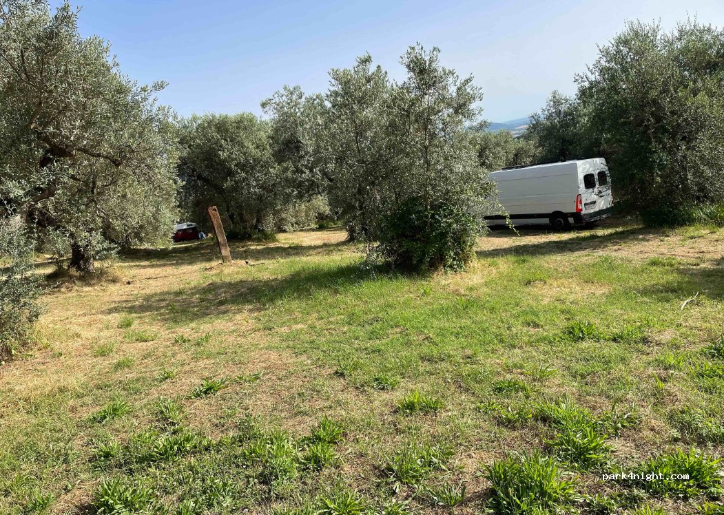 Wild Camp — foto 2