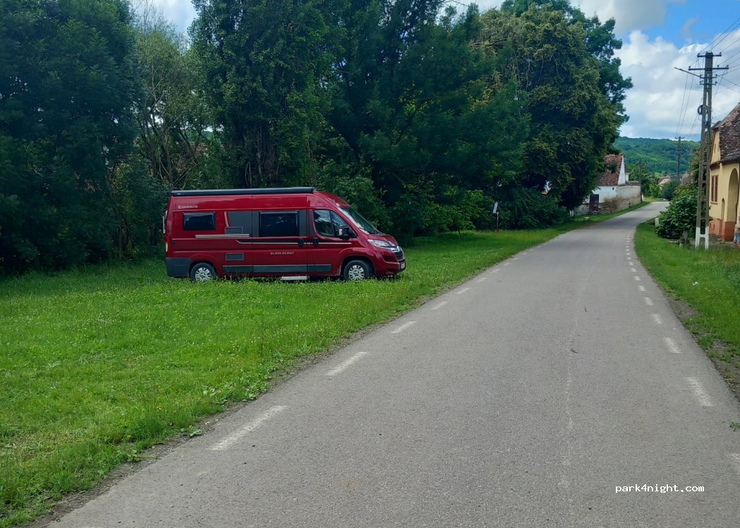 () Seleuș Mic - Strada Principala — foto