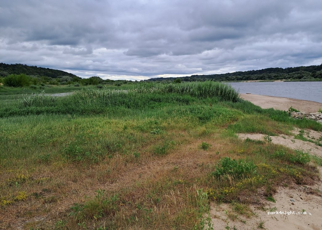 (74456) Raudonė - Unnamed Road — foto 2