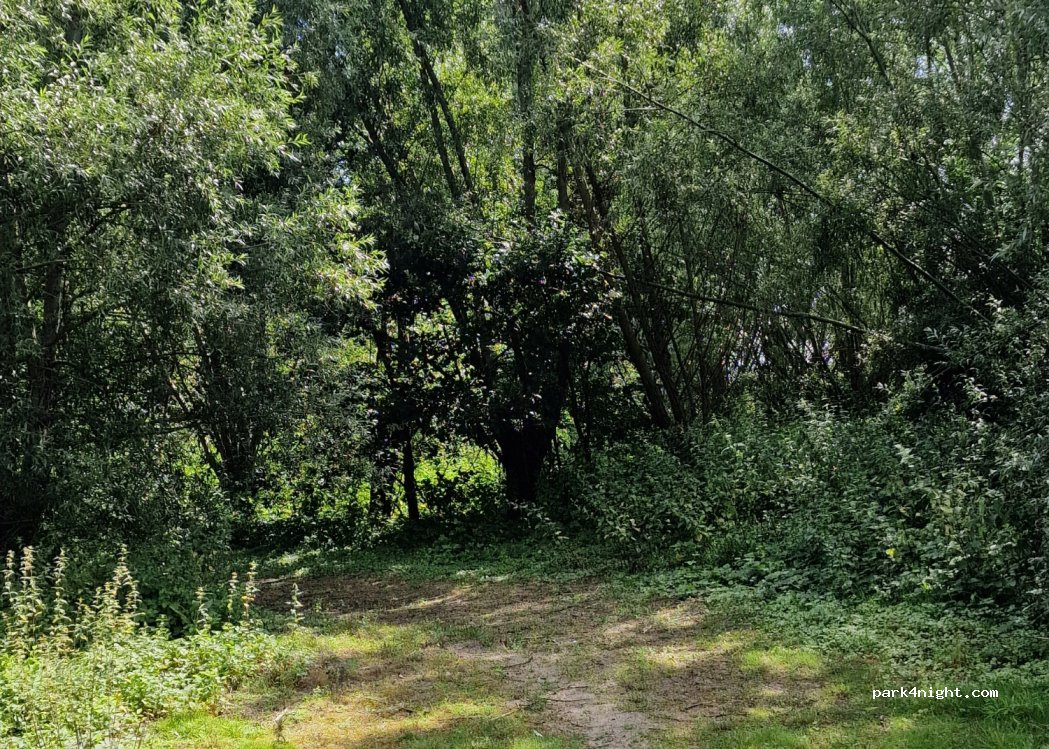 (9290) Berlare - 31 Sluis — foto 2