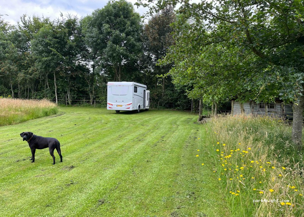 (5375 KX) Reek - 55 Rijksweg — foto 2