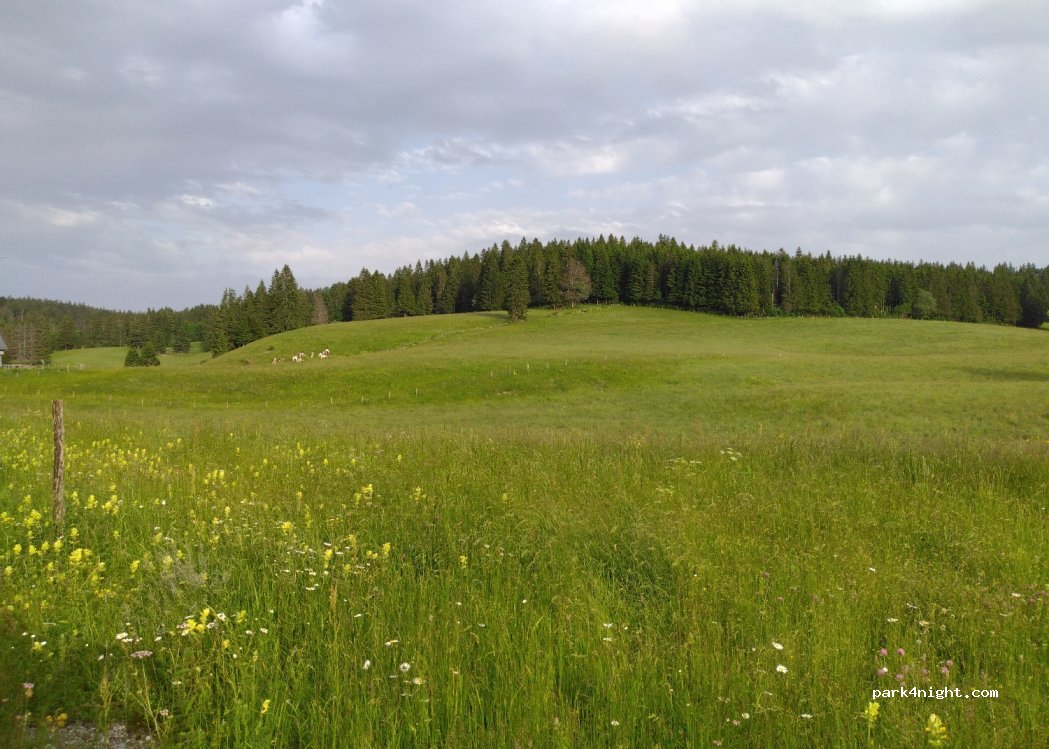 (25370) Rochejean - Route du Mont d'Or — foto 2