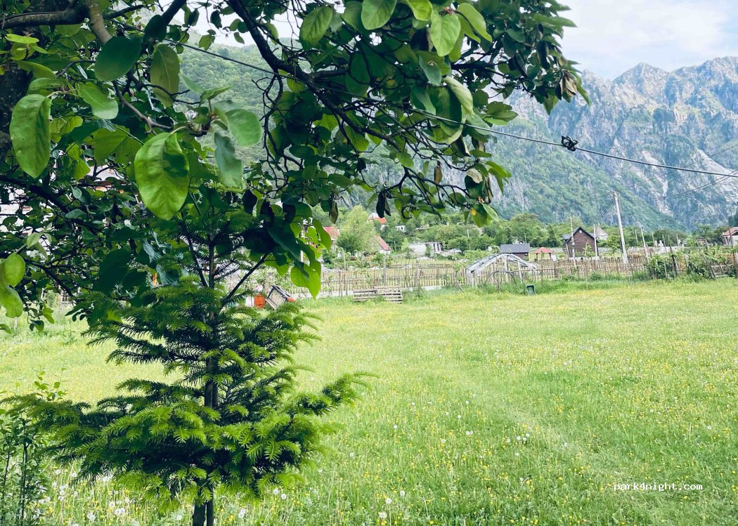 GuestHouse Gjovalin Lokthi — foto 4