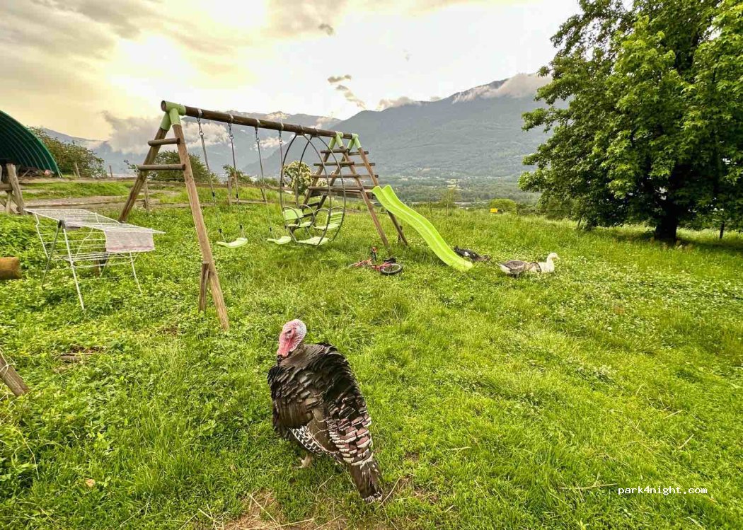 L'auberge Des Vaches — foto 3