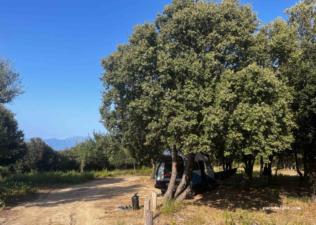 (20246) Santo-Pietro-di-Tenda - — foto 2