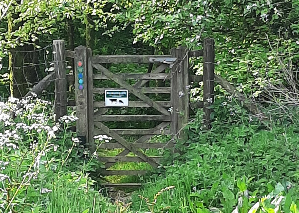 (DT2 0EY) Dorchester - Roman Rd — foto 5