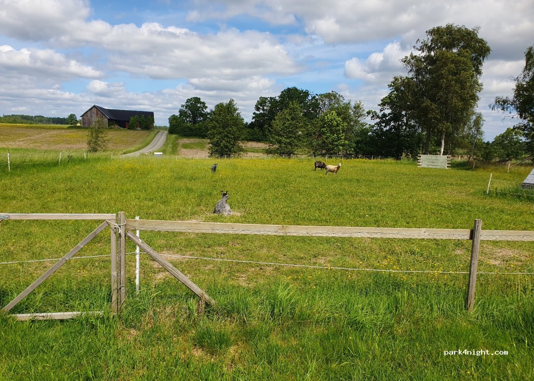 Bäckens Gård i Assarebyn — foto
