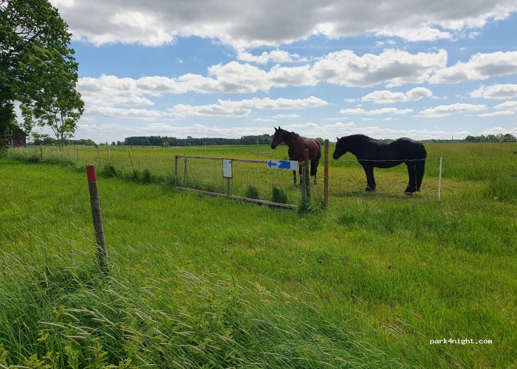 Bäckens Gård i Assarebyn — foto 2