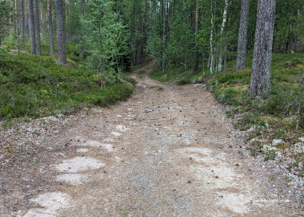 (88900) Kuhmo - 1212 Jämäsjärventie — foto 3
