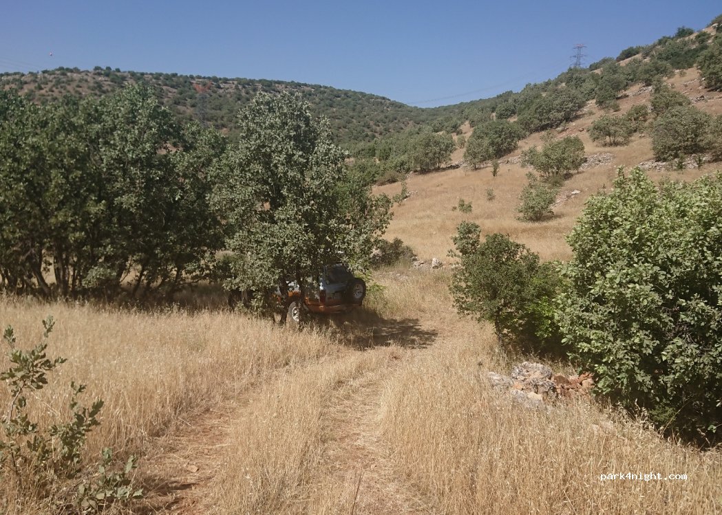 (72302) Yamanlar - — foto 3