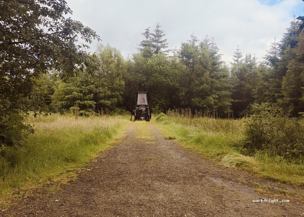 (61500) La Ferrière-Béchet - — foto