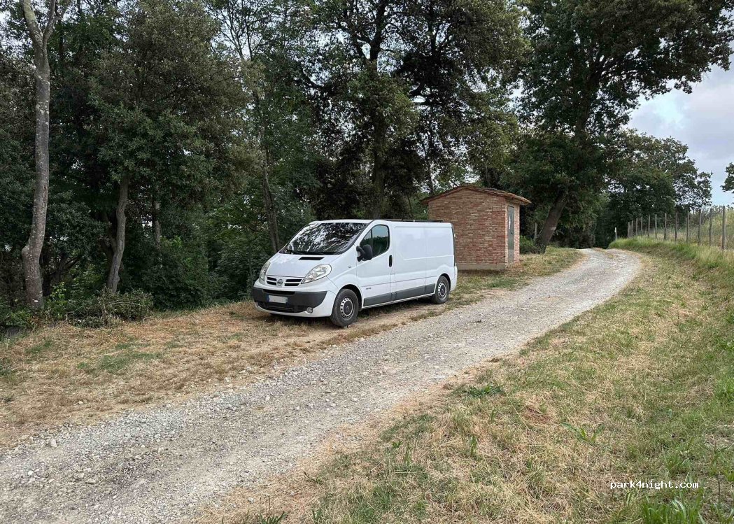 (56036) Palaia - — foto