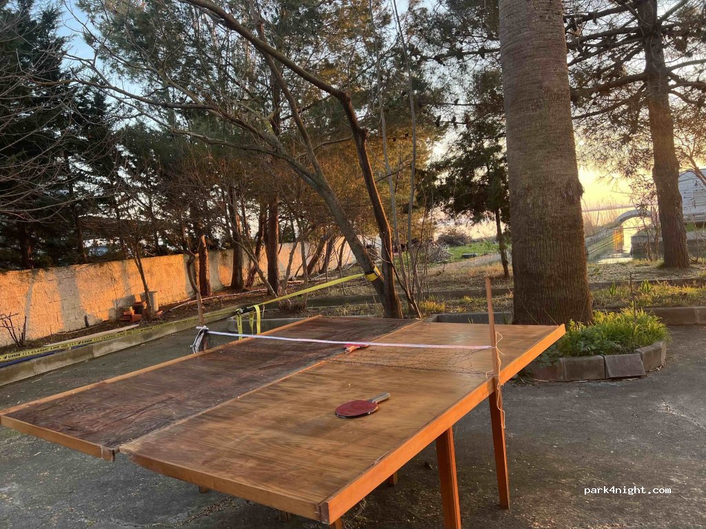 Pata Camping — foto 4