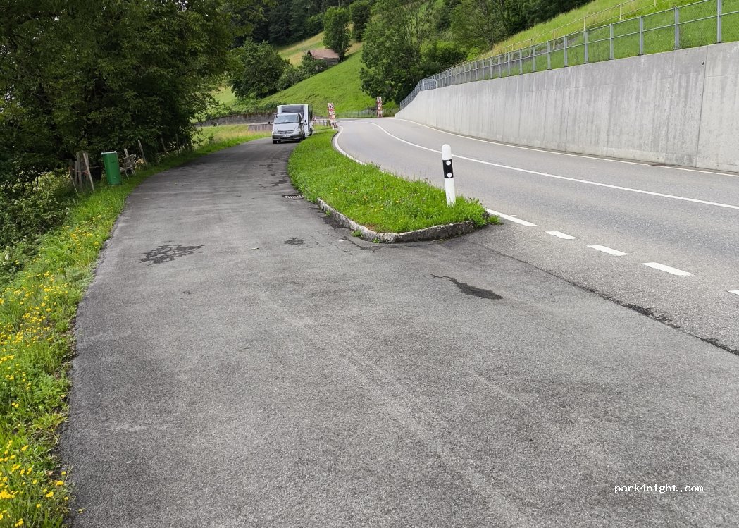 (3853) Niederried bei Interlaken - 263 Hubel — foto