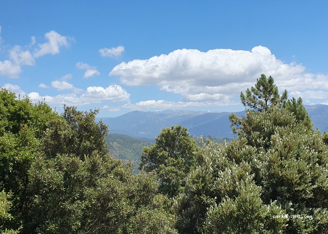 (20123) Cognocoli-Monticchi - D55 — foto